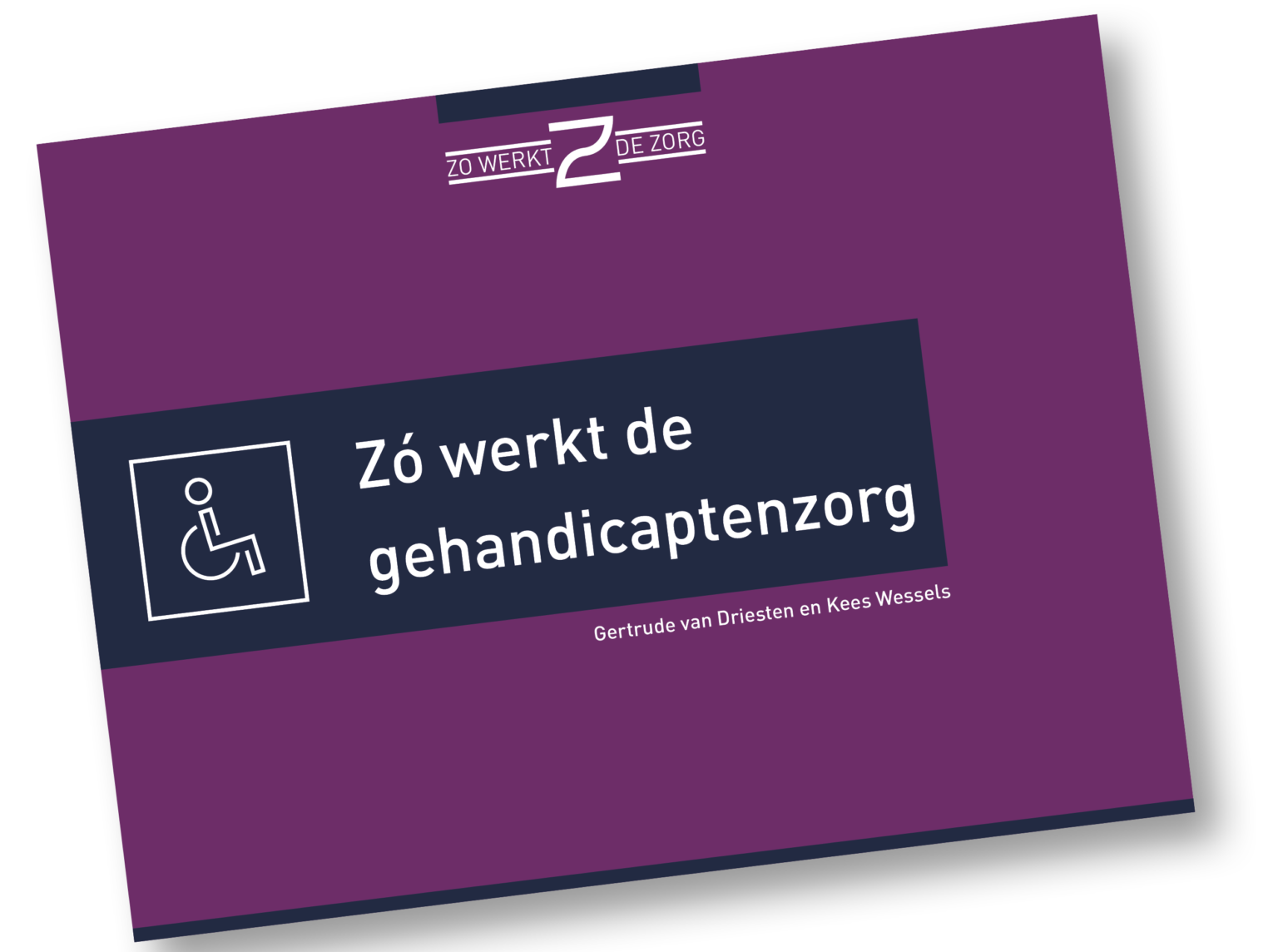 Nieuw Boek Geeft Inzicht In De Gehandicaptenzorg — FBZ — Vakbond Voor ...